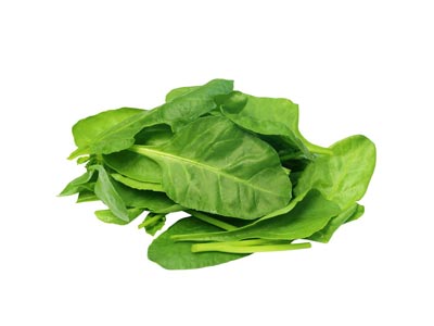 Épinard